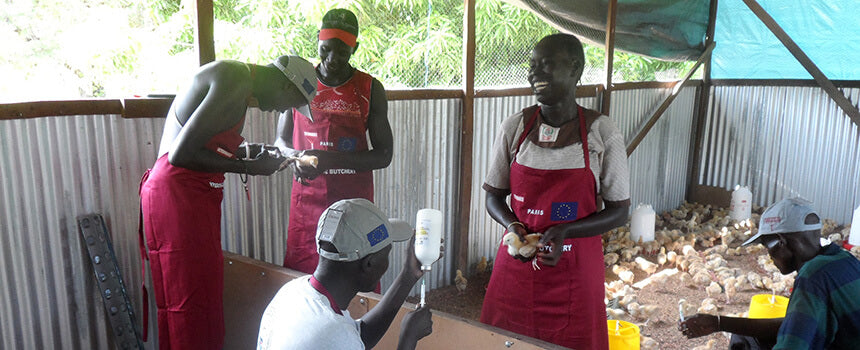 7 Hühner werden im Südsudan geimpft