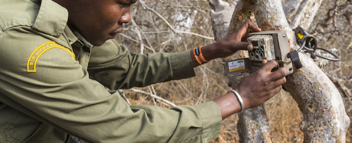 Ranger bei der Wildtierbeobachtung – Projektfoto aus dem Kalender 2025