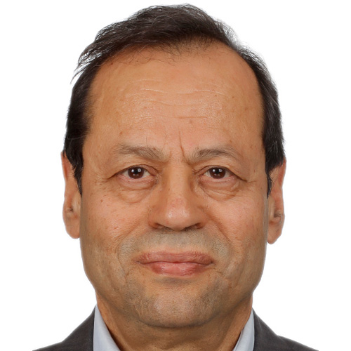 Dr. Ismail Al Baz
